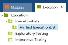 execution section