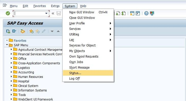 SAP S4 Hana Screen